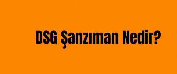 DSG Şanzıman Nedir? DSG Şanzıman Nedir?
