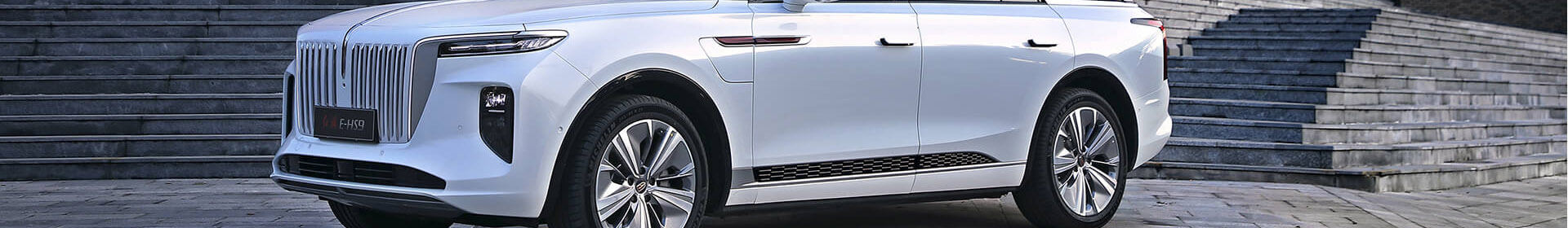 Banner Banner