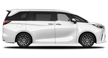 LM Hybrid