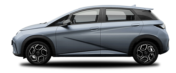 Byd Dolphin Atlantis Gri Byd Dolphin Atlantis Gri