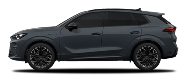 Cupra Terramar Fiyort Mavi Cupra Terramar Fiyort Mavi
