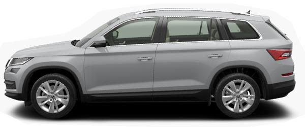 Skoda Kodiaq Çelik Gri