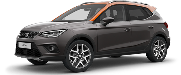 Seat Arona Pirineos Gri Seat Arona Pirineos Gri