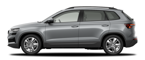 Skoda Karoq Gümüş Gri
